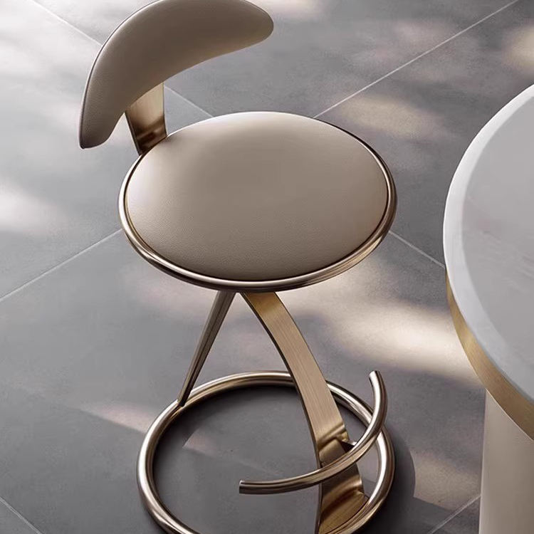 Stainless Steel Bar Stool with Backrest